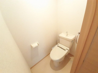 清潔感のあるトイレです