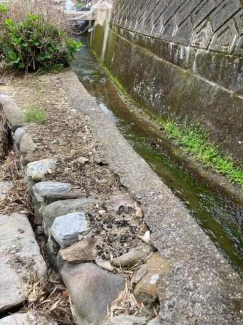 四国中央市金田町金川の売地の画像