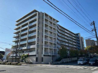 ネバーランド朝霧の画像