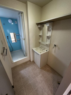 シャワー付き洗面化粧台で朝から洗髪もできますよ