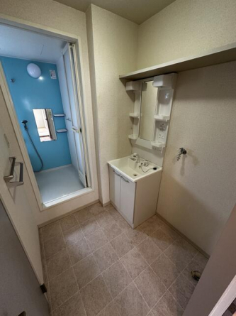 シャワー付き洗面化粧台で朝から洗髪もできますよ