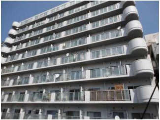 カルム白鷺の画像