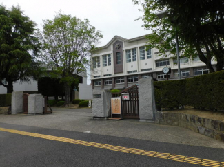 愛媛県立松山東高校まで773m