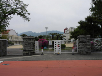 松山市立八坂小学校まで494m