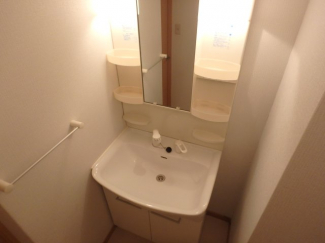 スペースが確保できる洗面所です