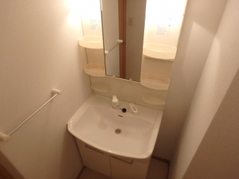 スペースが確保できる洗面所です