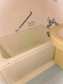 ダイアパレス新居浜の画像