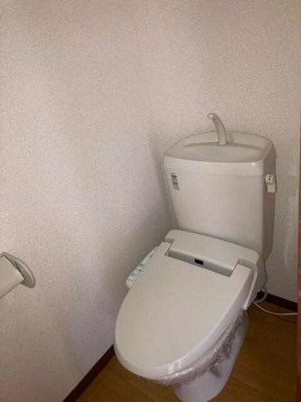 メイプルタウンの画像