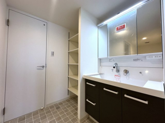 シャワーヘッド付きの洗面化粧台。三面鏡部分と下部にも収納があり、収納充実してます。