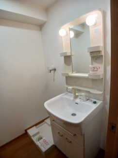 忙しい朝には欠かせない洗面所です