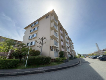 外観もきれいです