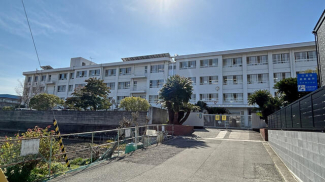 松山市立石井東小学校まで535m