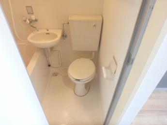 落ち着いた色調のトイレです