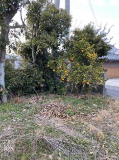 南あわじ市賀集鍛治屋の中古一戸建ての画像