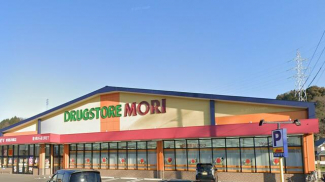 ドラッグストアモリまで600m