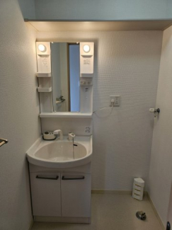 シャワー付きの洗面台です