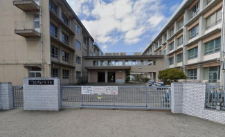 松山市立たちばな小学校まで950m