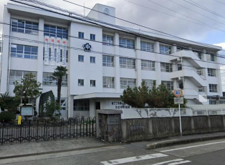 松山市立雄新中学校まで1700m