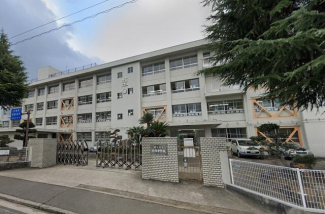 松山市立拓南中学校まで1217m