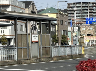 伊予鉄道市内線　道後公園まで700m