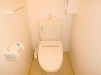 落ち着いた色調のトイレです