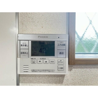 遙の画像