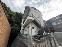 グリーンリーフの画像