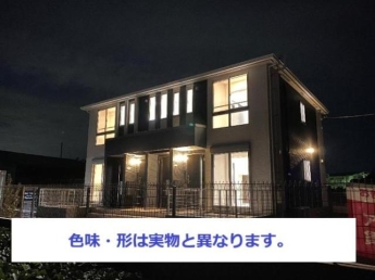 同型タイプ