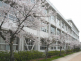 播磨中学校