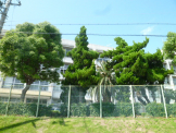 江井島中学校