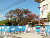 浜脇幼稚園