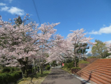 水分れ公園