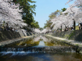 夙川公園