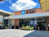 PLANT 高島店