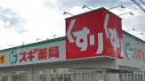 スギ薬局玉津店