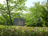 神戸女学院大学