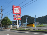 ゴダイドラッグ山南店