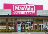 マックスバリュー大久保店