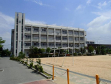 大津茂小学校