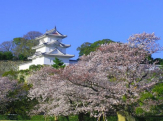 兵庫県立 明石公園