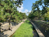 夙川河川敷緑地(夙川公園)