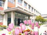 野口小学校