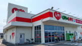 くすりのレディ　北条店