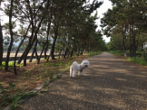 芦屋市総合公園