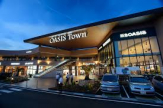 阪急オアシス伊丹鴻池店