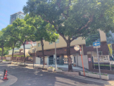 神戸生田 中学