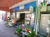 フタバ園本店