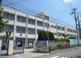 市小学校