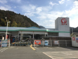 コメリハード＆グリーン柏原店