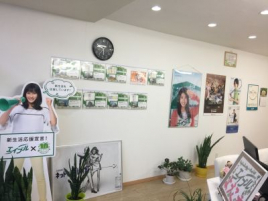 （資）平野屋建材店姫路駅南店の画像